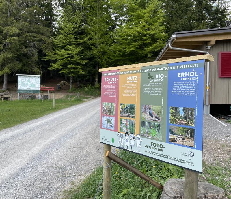 Fotowettbewerb Waldregion 5