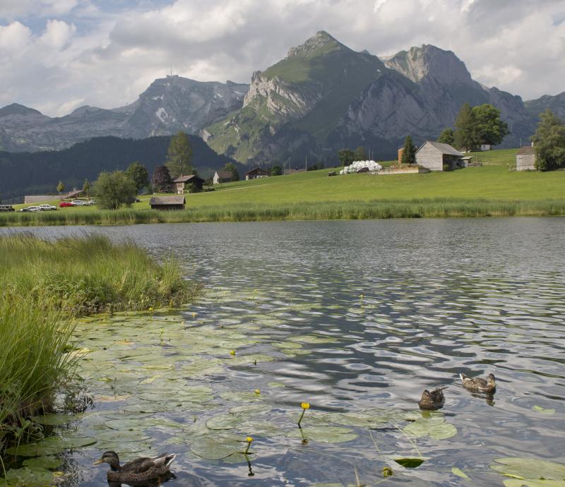 Neue Regionalpolitik NRP kurz erklärt