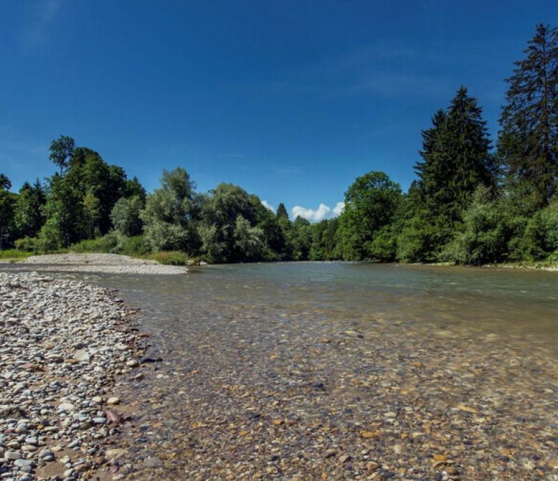 Necker und Thur sind Schweizer Gewässerperlen