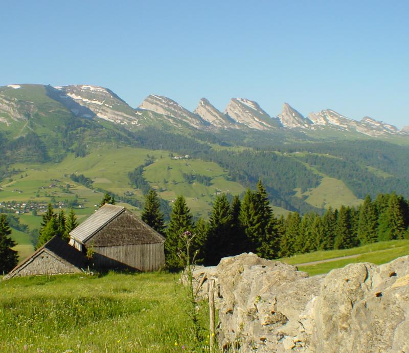 Trockenheit und Starkregen: So reagiert die Schwammregion