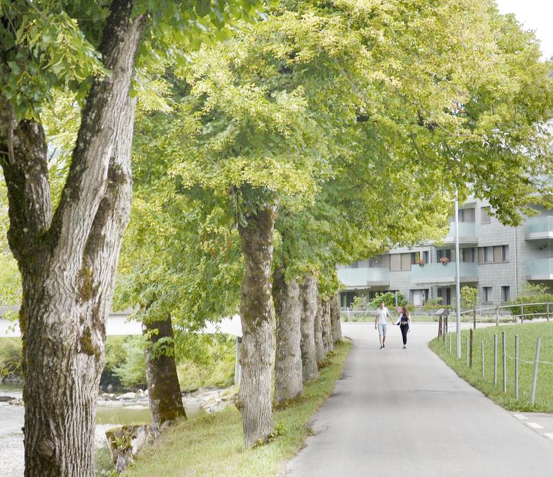 Zunahme Wohnbevölkerung im Toggenburg