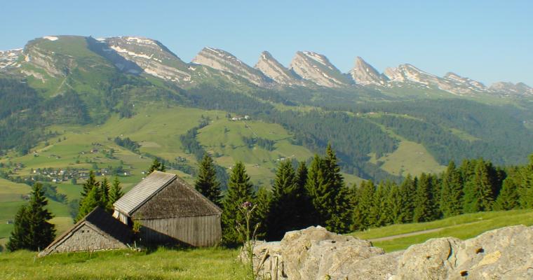 Trockenheit und Starkregen: So reagiert die Schwammregion
